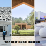 “Exploring the Cultural Tapestry: Top 5 Museums in the United Arab Emirates”