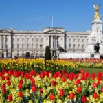 A Royal Icon: Exploring the Majesty of Buckingham Palace